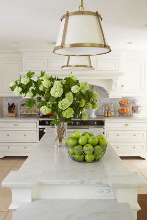 Ideas for a kitchen renovation pictures - clover mag 09 luscious kitchen.jpg